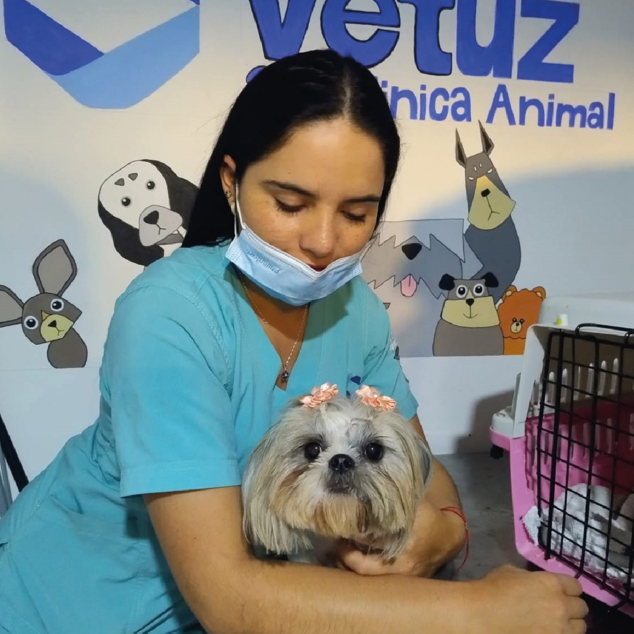 Hospitalización y Rehabilitación Veterinaria